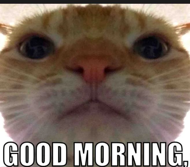 anonymousdapp's tweet image. Gm ⚡

it&apos;s  a new day to lock in 

November must be a W