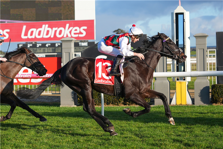 SENGiddyUp's tweet image. LISTEN | @Josh_Maginness from @Country_Racing joined @ghall27 in studio to preview another big weekend of Country Cups with the Ararat Cup on Sunday. @Em_spartaracing joined to preview her chances on Sunday in the Cup.

cms.megaphone.fm/channel/NTETP9…