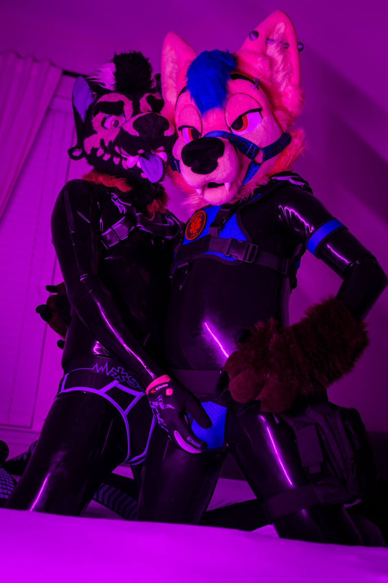 After hours at the frat house 

🦊<a href="/wyattfoxxx/">Wyatt AD</a> 
📸 <a href="/LunlunFox/">LunLunFox</a>