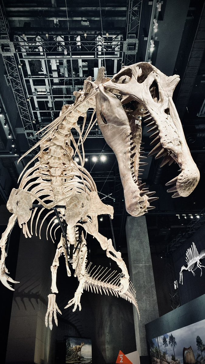 なおみaaページ(≧▽≦) 安室奈美恵 with SUPER MONKEY'S / ORIGINAL TRACKS VOL.1【CD】【SHM