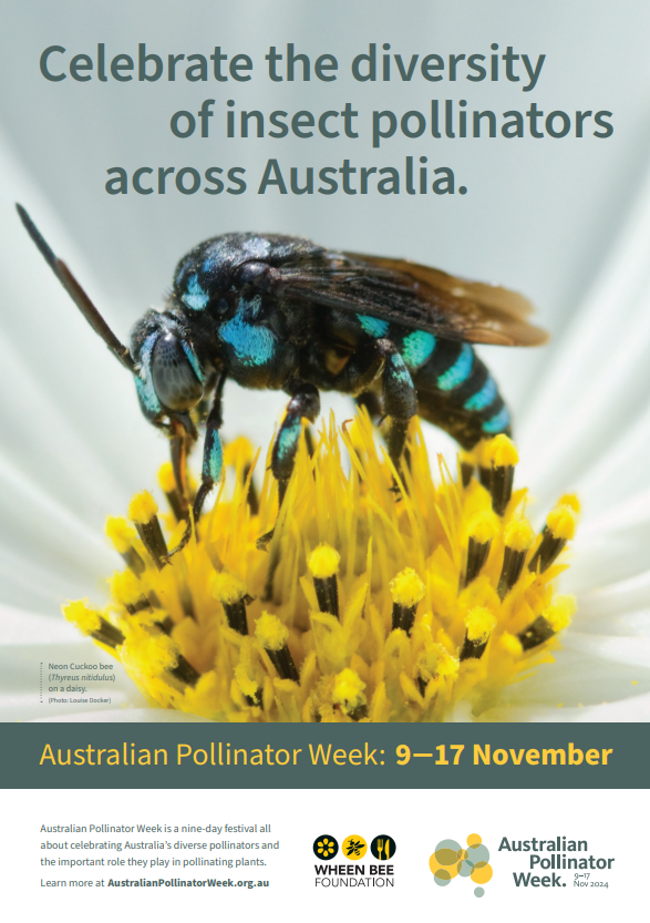 EcosureAU's tweet photo. 🐝 Coming up is Australian Pollinator Week! 

Let’s give thanks to the pollinators that help our landscapes bloom! 🌿💛

🔗 Learn more and get involved: https://t.co/5y1zkBaray

#AustralianPollinatorWeek #PollinatorPower #Ecosure #EcologicalRestoration #BiodiversityMatters https://t.co/buB19gYOgy