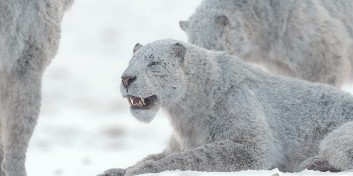 smartechdaily's tweet image. 📺 منصة Apple TV أطلقت معاينات سلسلتين جديدتين:
🦣 Prehistoric Planet: Ice Age – وثائقية مُعلّقة بالرواية تطلق في 26 نوفمبر 2025، مكوّنة من 5 حلقات، بصوت Tom Hiddleston. 
🔪 The Hunt – مسلسل إثارة باللغة الفرنسية، يبدأ عرضه في 3 ديسمبر 2025. 

#AppleTV #NewSeries #Streaming