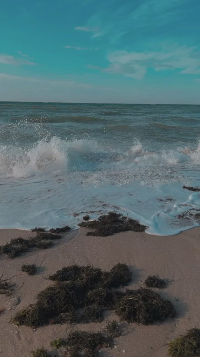 طلال محمد (@talaljalali2) on Twitter photo 