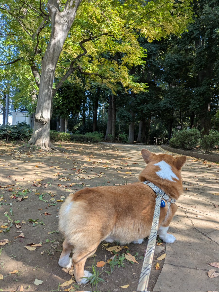 モアモア♥️モネモネ♥️ happywanwan on X