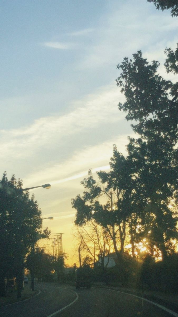 levithefirst's tweet image. good morning frens