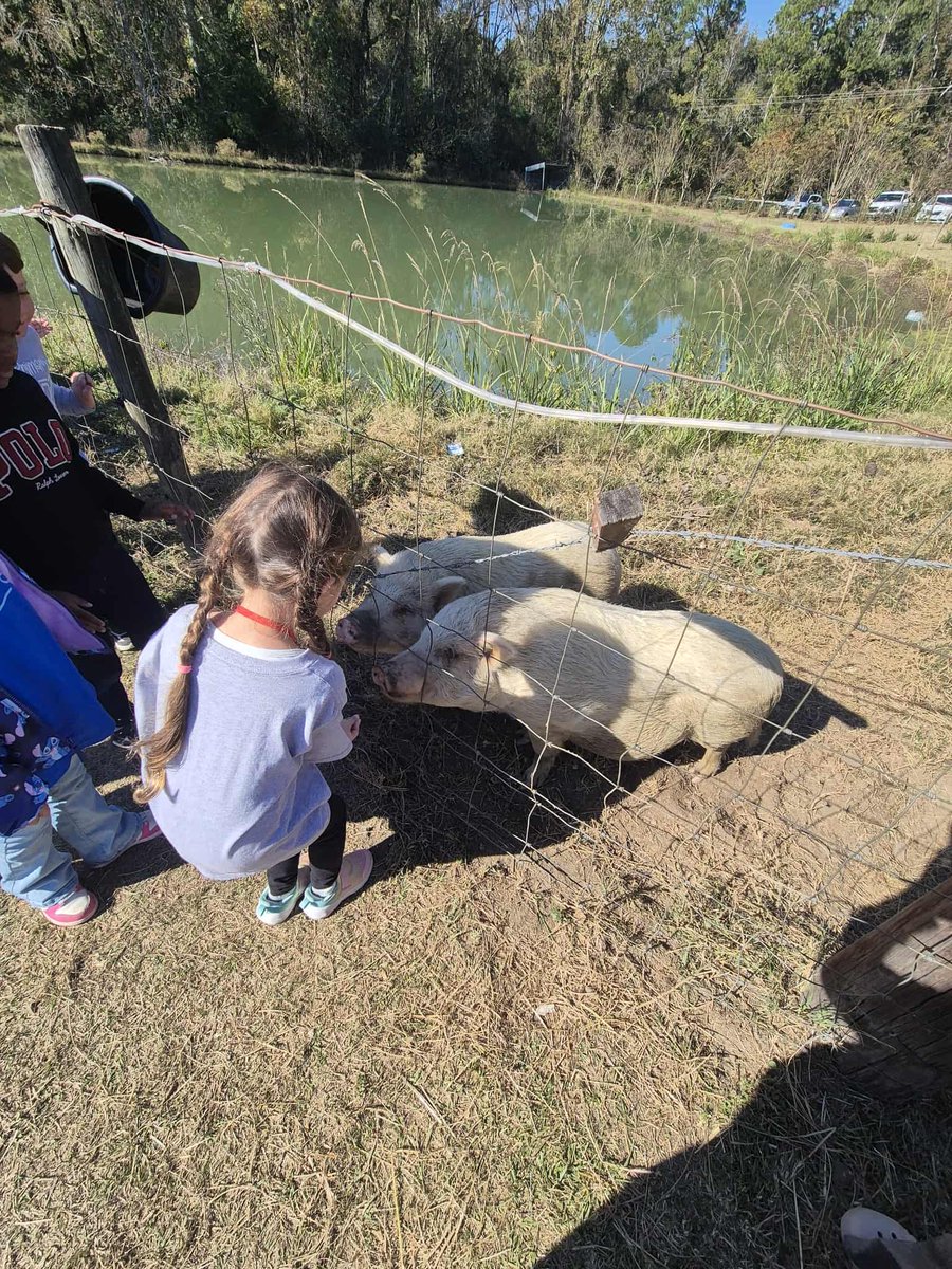 うめちゃん🇯🇵🇺🇸 (@kikilunanoah) / Posts / X