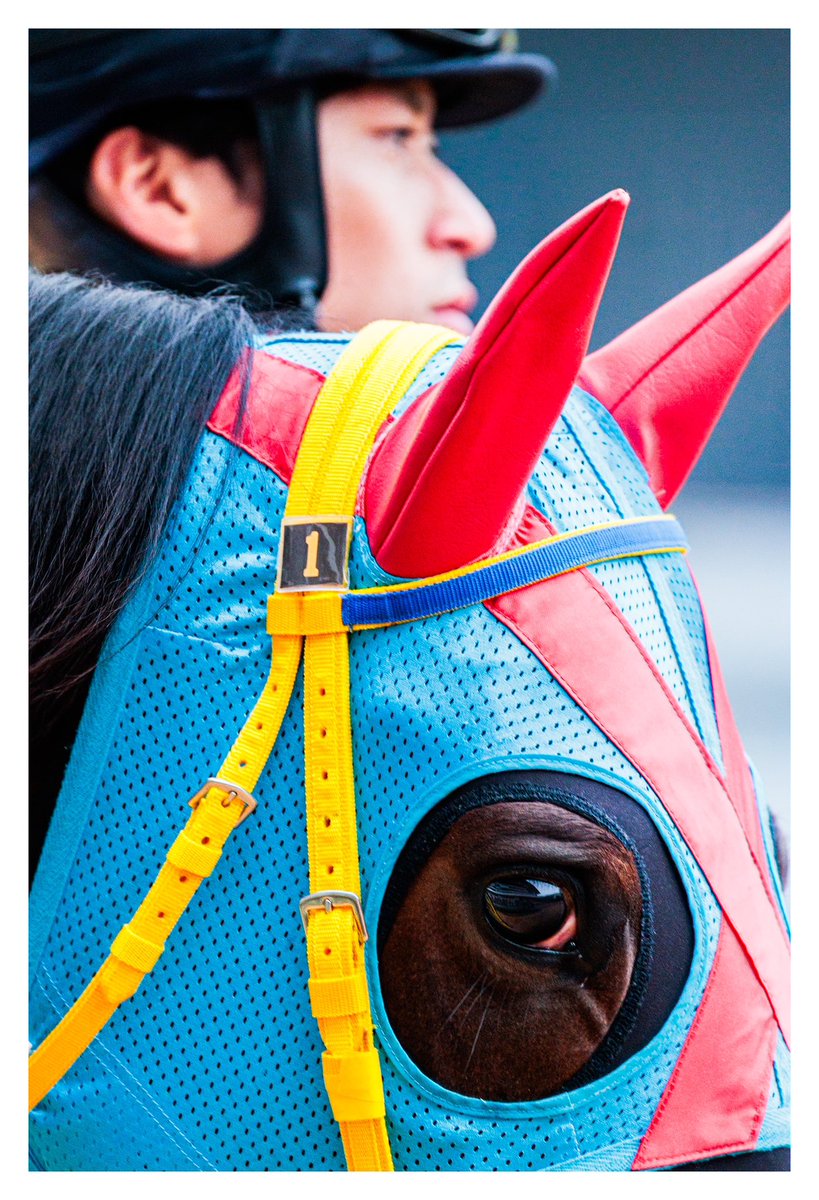 ゆーくん'25 (@yuuyy1) / Posts / X