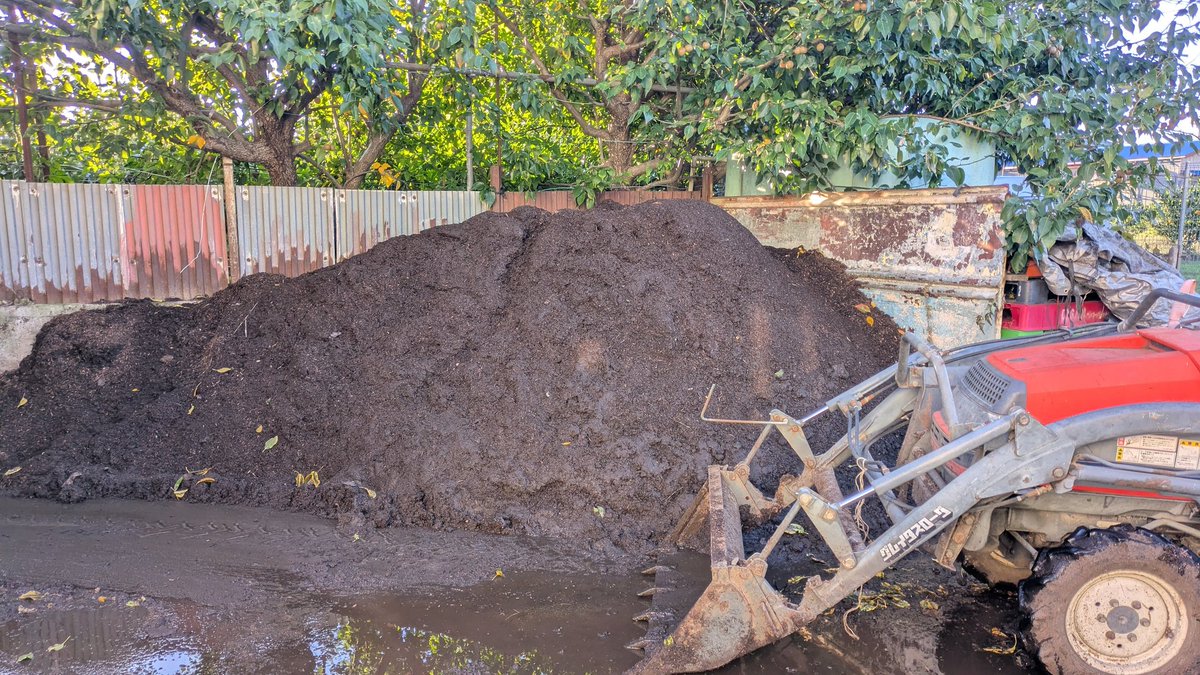 堆肥の切り返し作業
発酵が均一に効率良く進むよう、年に数回、混ぜ合わせる作業を行ってます。こちらの堆肥は冬の剪定で切った枝を粉砕して、ワラ堆肥等と混ぜた物で、酸素を供給して発酵を促進するよう、水をかけながら切り返します。これから行う土づくりで畑に散布します。
#稲城 #梨 #稲城の梨
