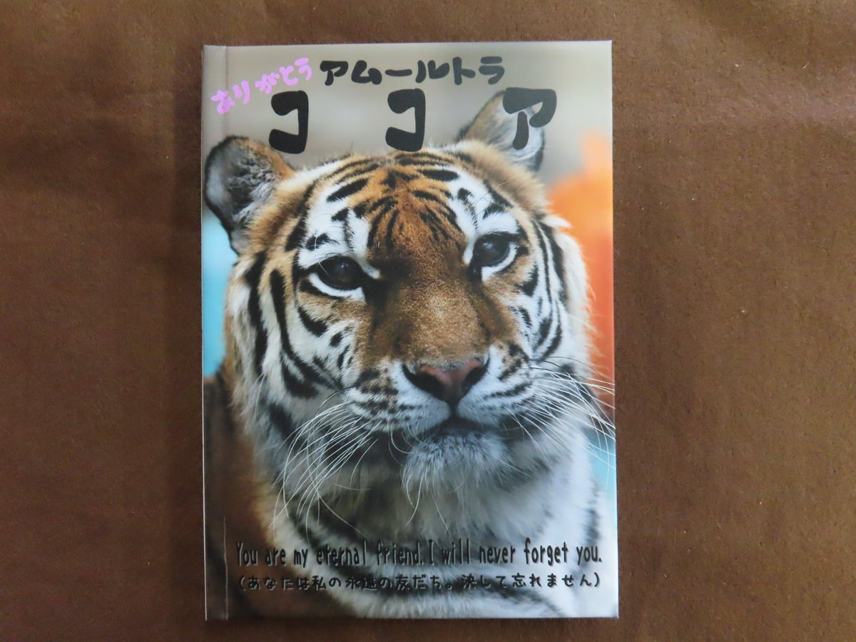 naojiro＠直次郎 on X