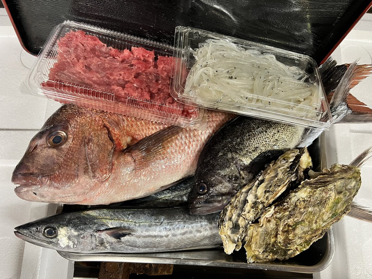 新城ミミちゃん2 (@izakayamimi2) / Posts / X