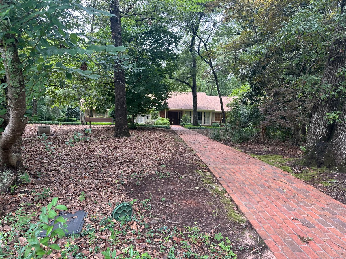 PresidentsVisit's tweet image. I was thrilled to see Jimmy Carter’s home, next to the gravesite! The National Park Service plans to open the home in a few years! 🥜🦅🇺🇸🏛️

Check out “Jimmy Carter and the Carter Home” for his Presidency and the home! visitingthepresidents.com/2023/03/06/sea…

#JimmyCarter #Plains #president