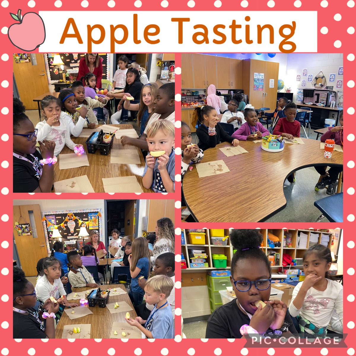 tech_and_tacos's tweet image. Our Young Explorers @PRE_Explorers celebrated learning all about Johnny Appleseed! 🍏🍎 Students taste-tested apple varieties then created adorable pictographs to show which flavor was their favorite. Such sweet learning! 

📊🍎💚 #YoungExplorers #LearningIsDelicious