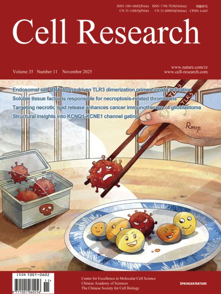 Yan Zhang tweet media