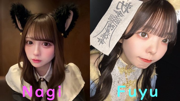 池猫 ~池袋の猫たち~のツイート