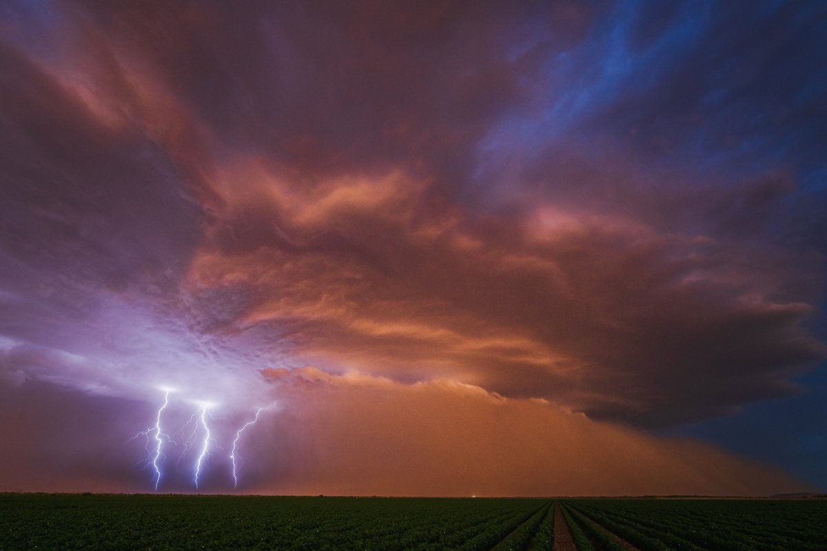 Arizona storms absolutey rock.