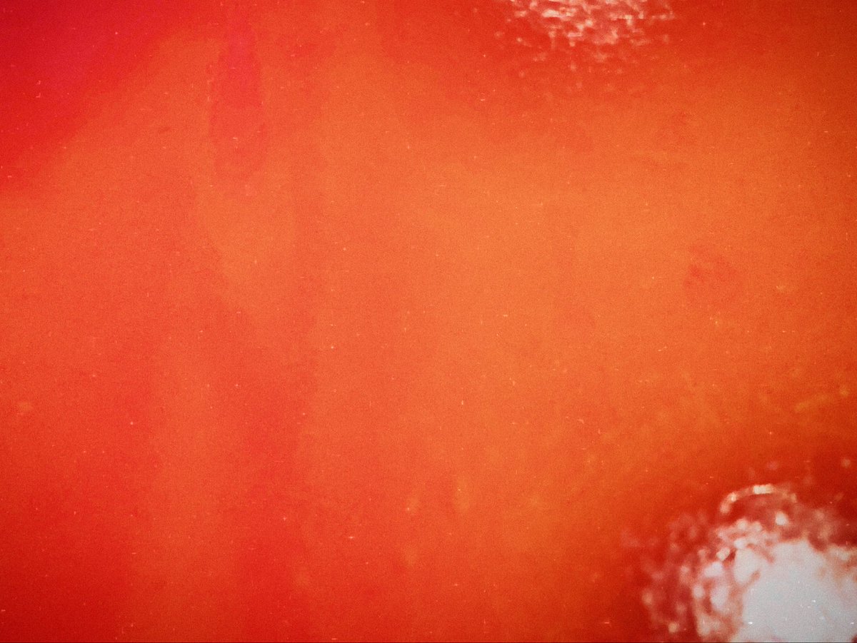 kukaneffect's tweet photo. https://t.co/8x6DoULAdI

#red #abstract #ambient #music #bandcamp #youtube #spotify #soundcloud #art #subscribe #official #kukaneffect https://t.co/Ac9rI2ov1d