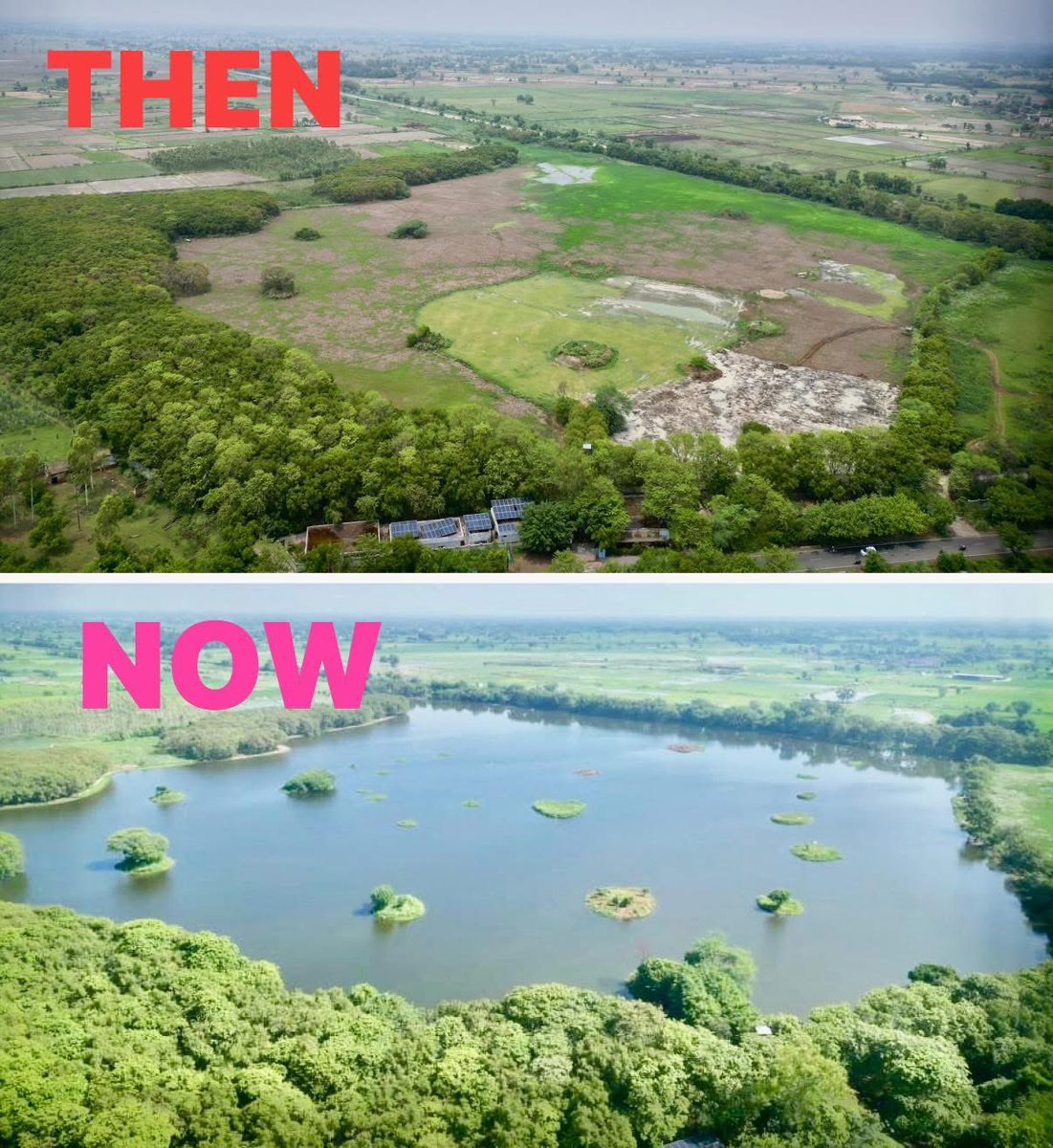 ramveertanwarg's tweet image. शेखा झील, अलीगढ़ !

60 एकड़ में फ़ैली झील को नया जीवन ! 

प्रवासीय पक्षी जो जिन्होंने झील की दुर्दशा के कारण मुँह मोड़ लिया था वो वापिस आना शुरू हो गए हैं । 

विशेष धन्यवाद: आदरणीय जिलाधिकारी, मुख्य विकास अधिकारी एव वन प्रभागीय अधिकारी अलीगढ़!
#Pondman #MigratoryBirds