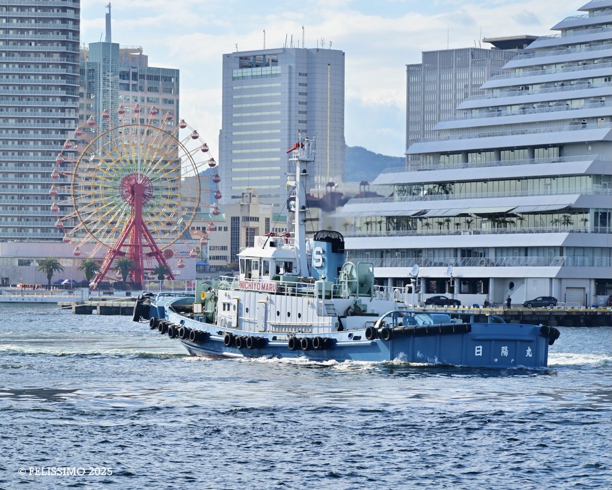 大成丸 - Search / X