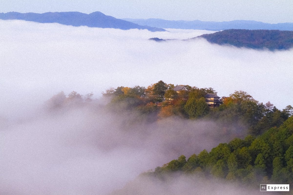 ❤︎スポーツシーン❤︎紅葉❤︎家族写真❤︎Wi-Fi接続❤︎Canon EOS