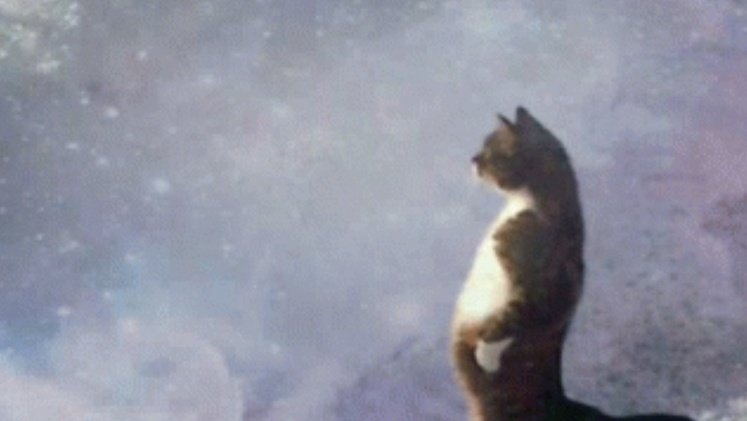 ᅠ* ﹅ D̶𝒊🅂𝑪𝓘℘Ꮭₑ .ᐟ tweet media