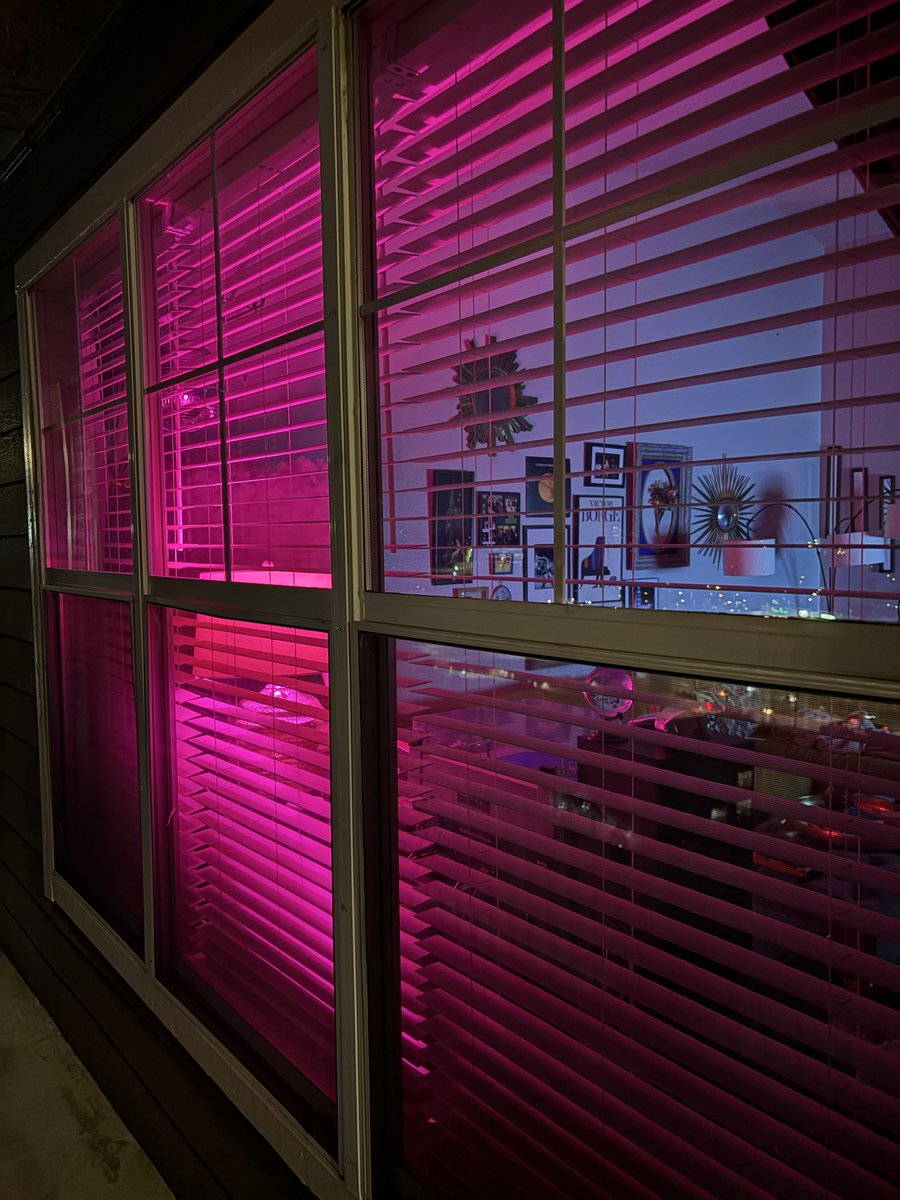 If I were president the first thing I’d do is make it mandatory for apartment complexes to hand out colored light bulbs upon move-in to keep by their front window. I’m tired of carrying the weight