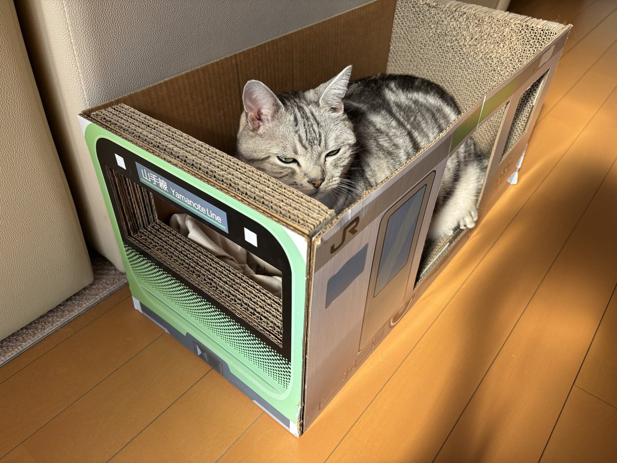 冬猫 Post by みふゆ(三冬) on X: 山手線乗車中
