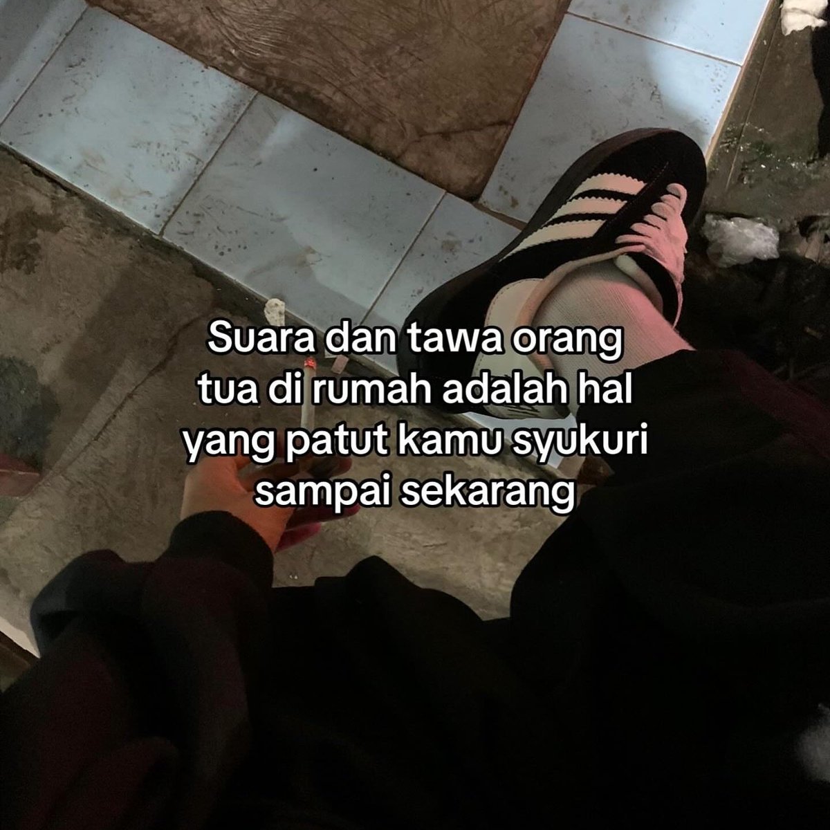 poconxg's tweet image. 