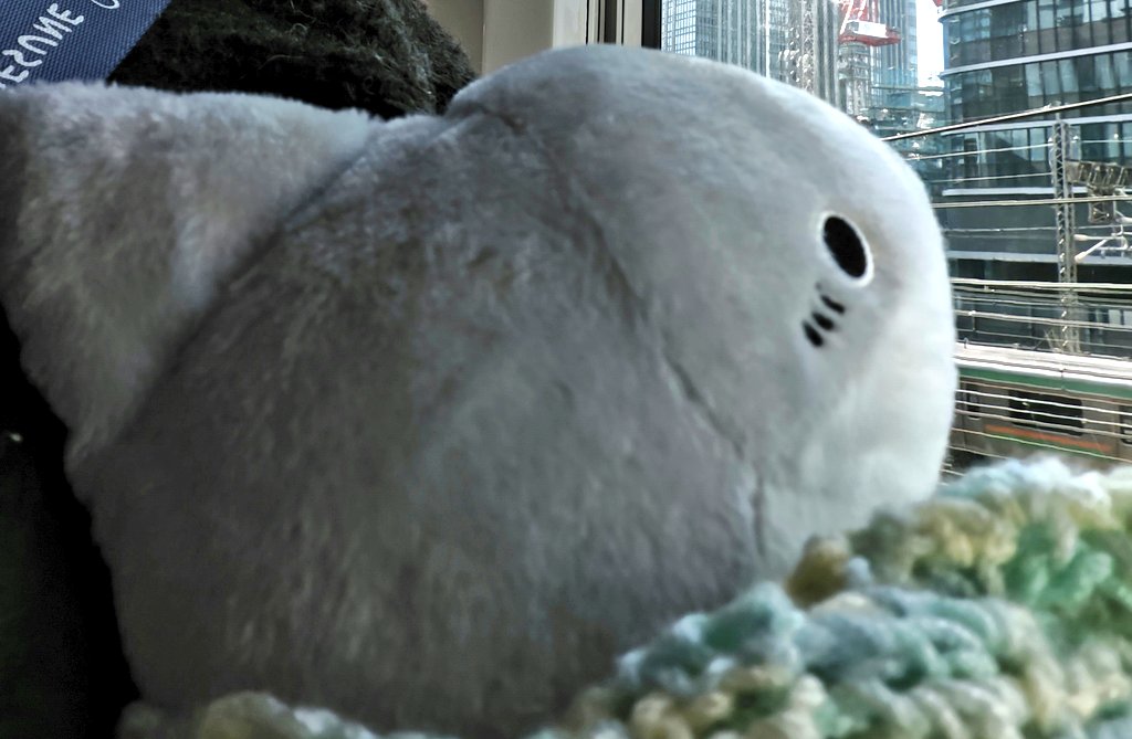 IDEAMASTER10's tweet image. 窓の外に夢中のお二人。
本日も傷心の私にお付き合いいただきありがとう…(´；ω；｀)
満足してるかなあ？
#おでかけ子ザメ
#子ザメちゃん 
#うさめちゃん