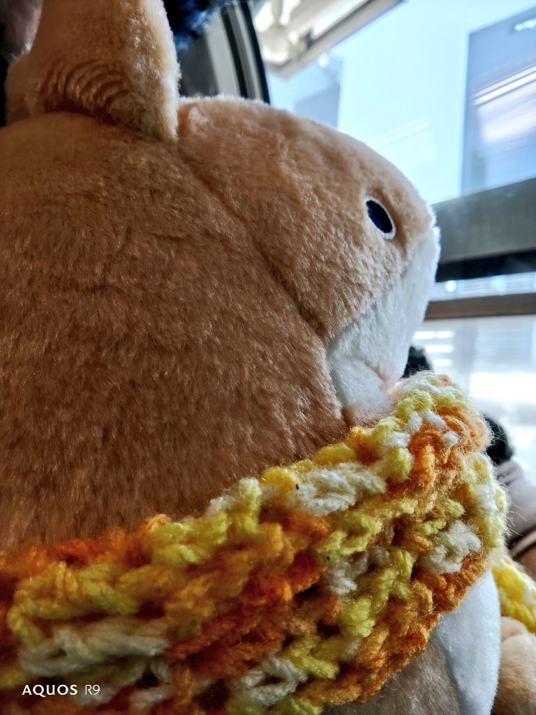 IDEAMASTER10's tweet image. 窓の外に夢中のお二人。
本日も傷心の私にお付き合いいただきありがとう…(´；ω；｀)
満足してるかなあ？
#おでかけ子ザメ
#子ザメちゃん 
#うさめちゃん