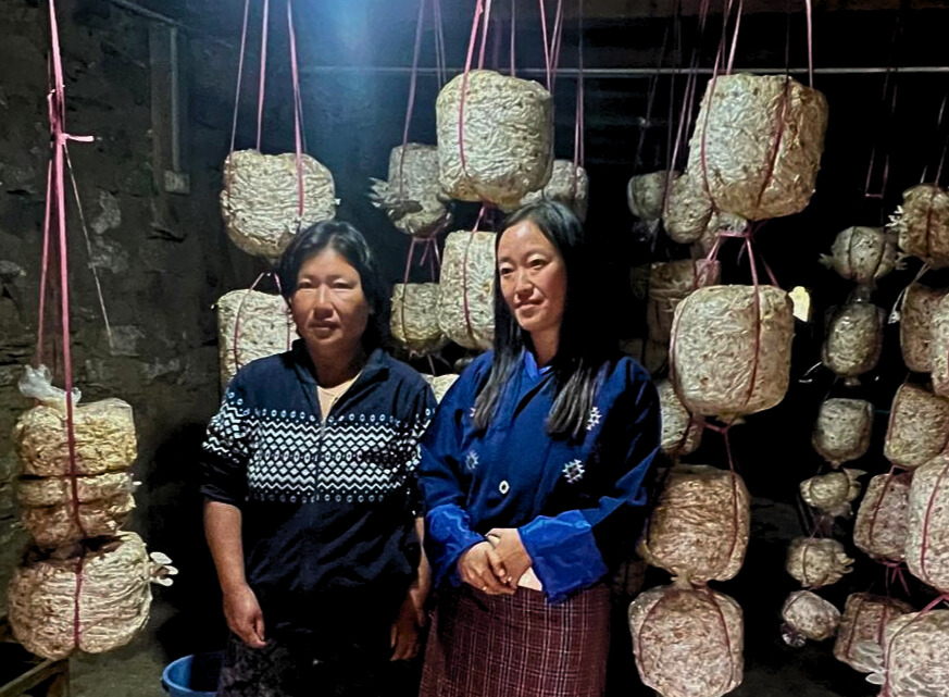 Kinzang Mo with technical assistance from WFP Bhutan as part of #BRECSA project is growing mushrooms at her home in Trongsa district.
<a href="/moafbhutan/">MoAL Bhutan</a> &amp; community mobilizers from <a href="/TarayanaFoundn/">Tarayana Foundation</a> supported the initiative, contributing to a sustainable livelihood and food secure future.