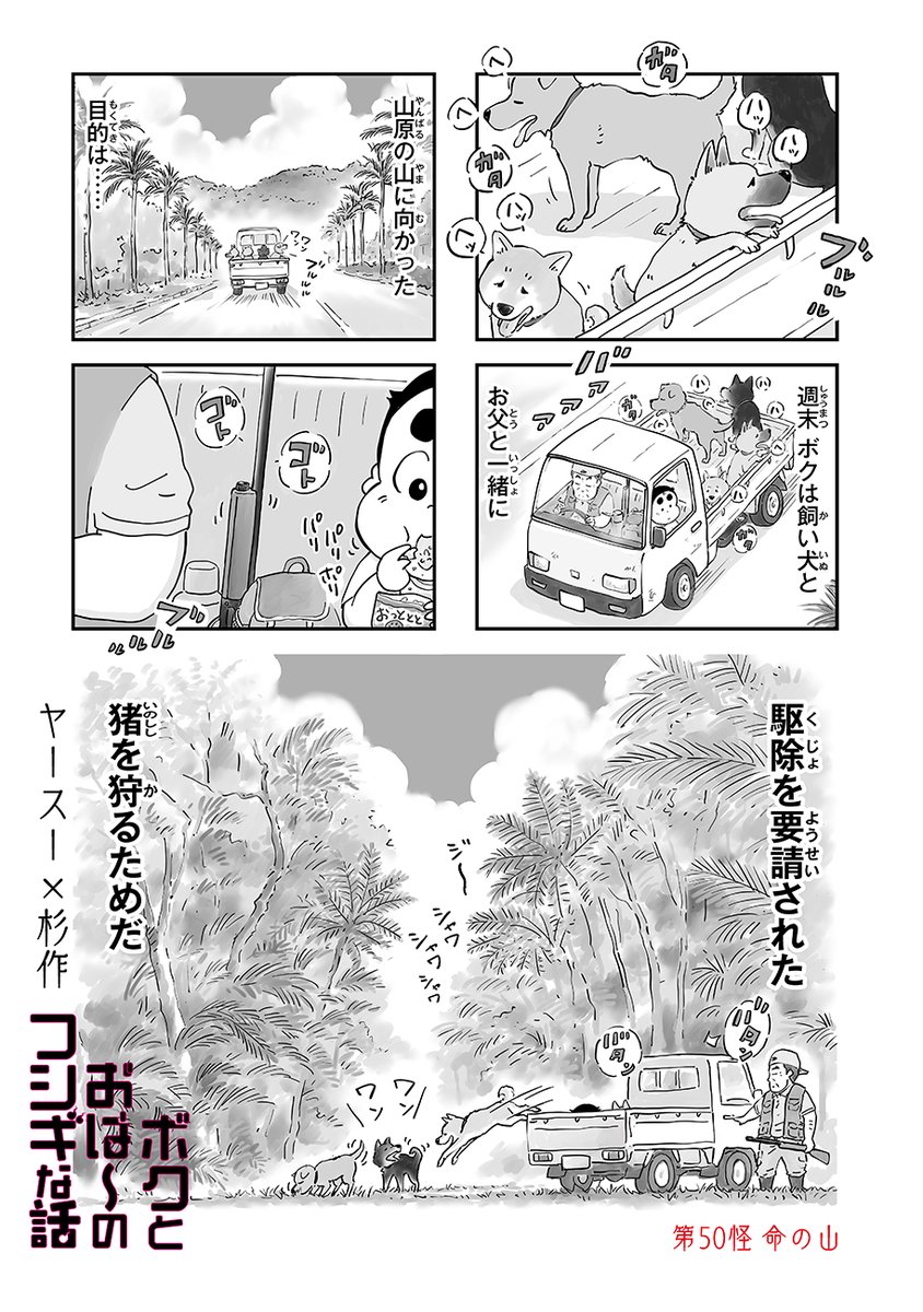 BorderComic's tweet image. イノシシの霊を視た（1/6）
#漫画が読めるハッシュタグ
