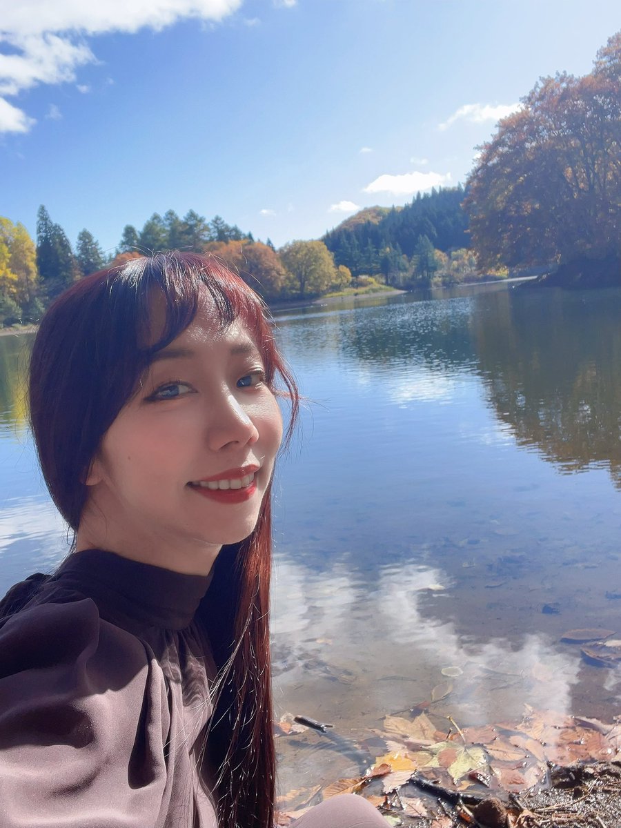 show-1⚔🍓🛡 BF6初心者 (@showsuga) / Posts / X