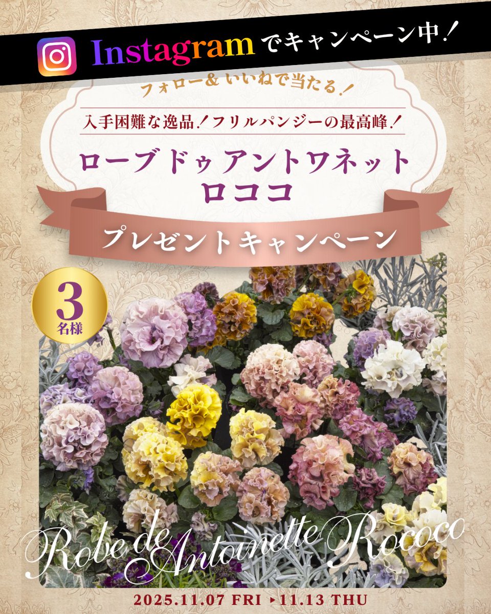 タネのタキイ通販🍅（公式） on X