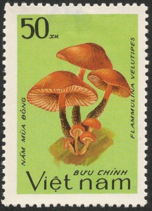 切手の博物館 on X