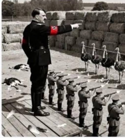 Sassygal (@sassygal1971) on Twitter photo 