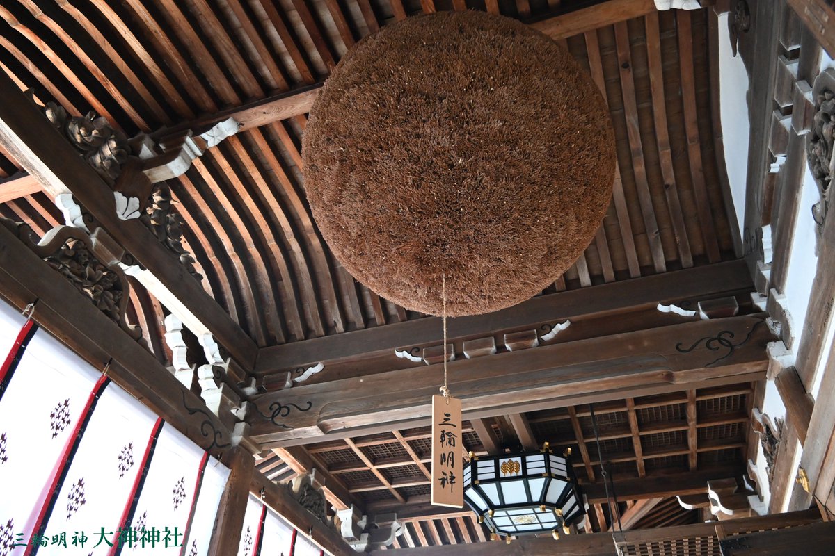 本日は二十四節気「#立冬」。 大杉玉の掛け替えの時期が近づき、茶色い