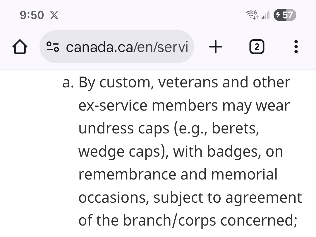 Checking into some rememeberance day dress protocol.