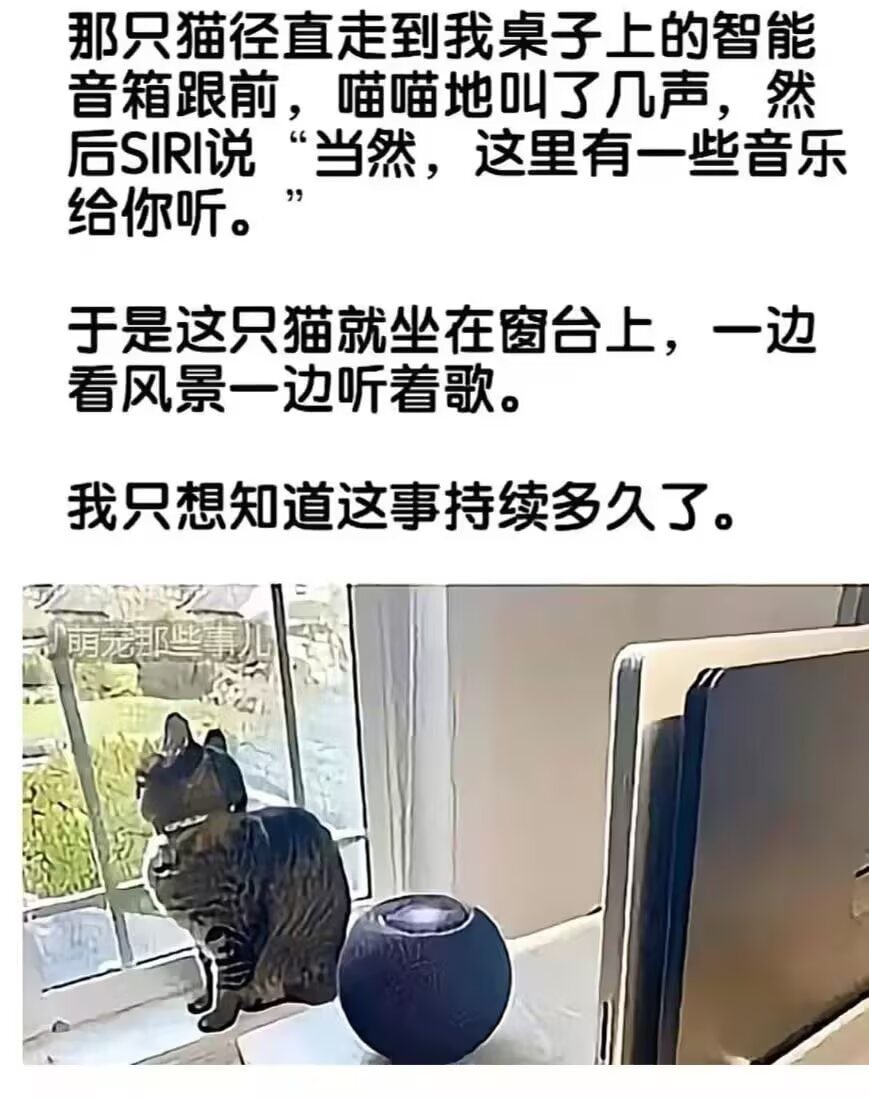 旗田安奈🍵 (@hatadanna) on Twitter photo 