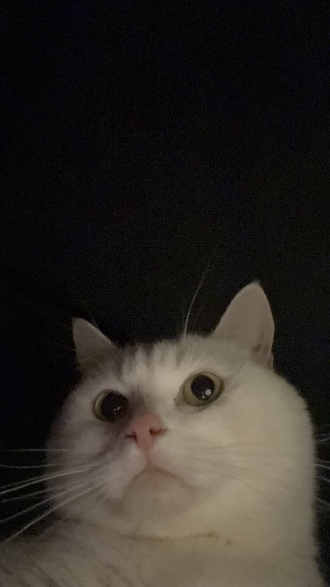 이쁜 아가를 보내야 하는게 믿기지 않아요 눈물이 계속 나요 염치 없지만 위로 부탁드랴도 될까요 마음이 너무 힘들어요