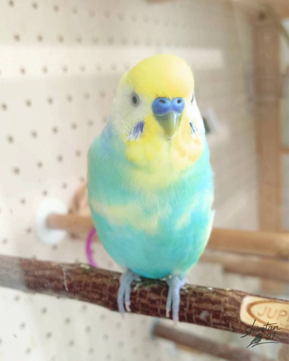 真面目そうな顔して何を考えているのかな😊？