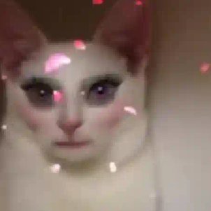 To toda fodida com a rotina que criei quando estava em mania