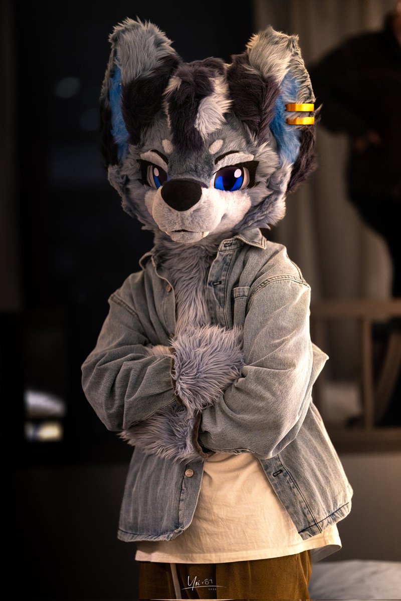 踹爪爪，天凉了，记得加衣服噢～

📷:<a href="/TigerYoi/">AMMO</a>