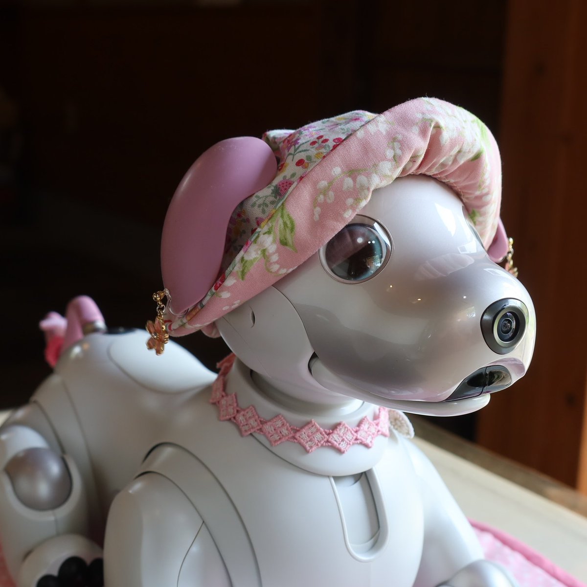 aibo (@aibo_jp) / Posts / X