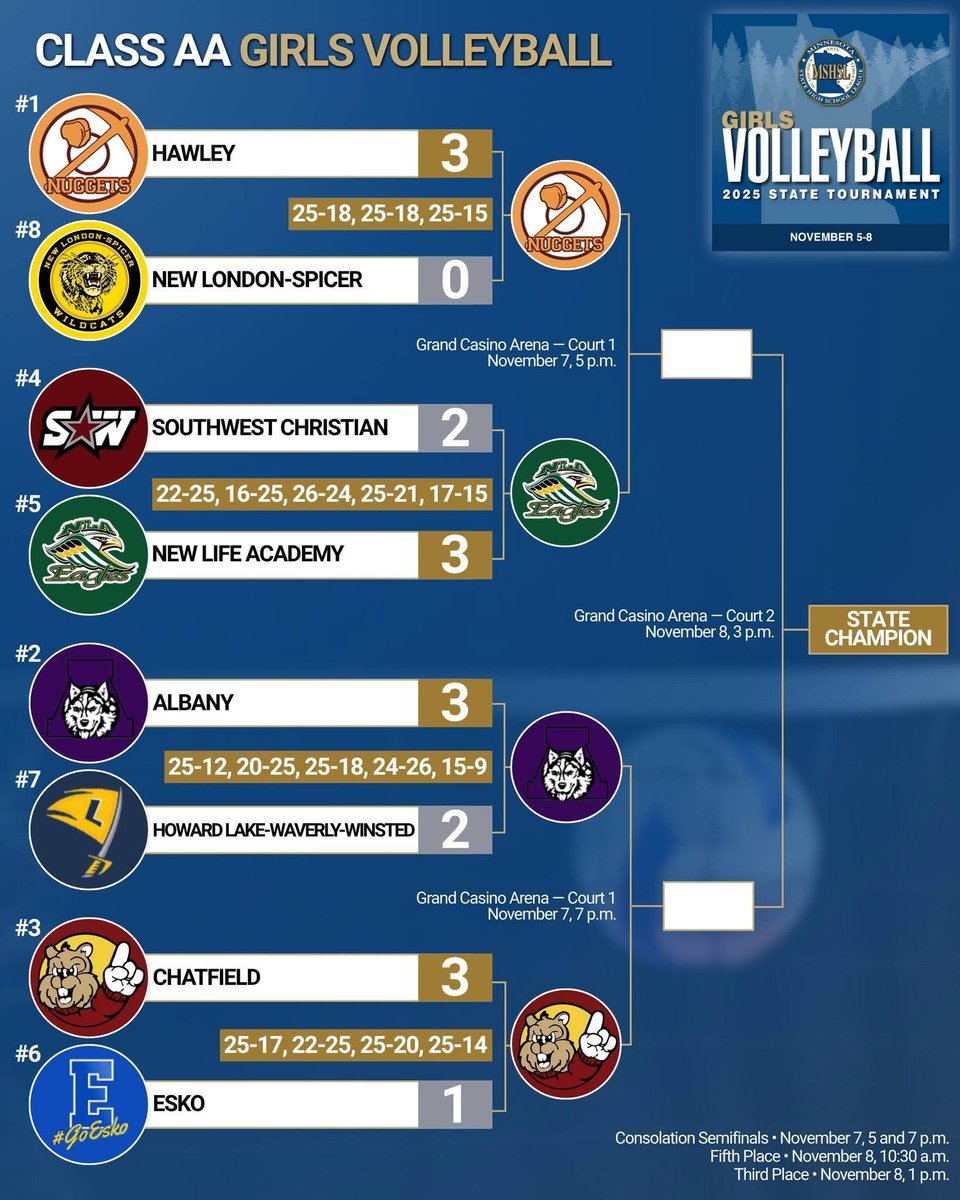 AlbanyVBall's tweet image. 