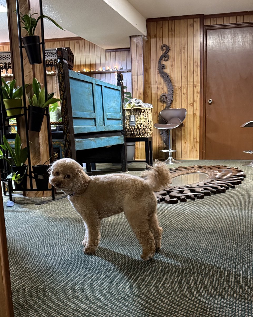 trollergrl's tweet image. my mom does NOT play around with me calling him fat