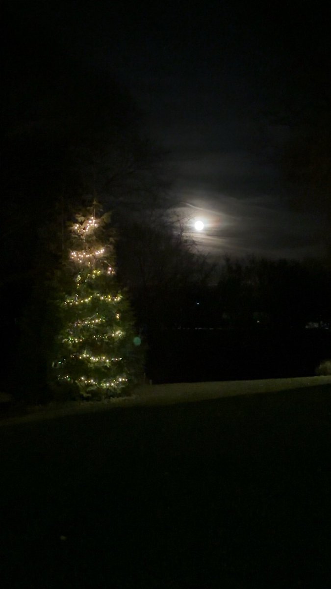 Outdoor illumination preparation has begun…

Not on timer, yet 👀🎄

⁦<a href="/PGAPappas/">Pete Pappas</a>⁩ … you ready!?  #releasetheKringle