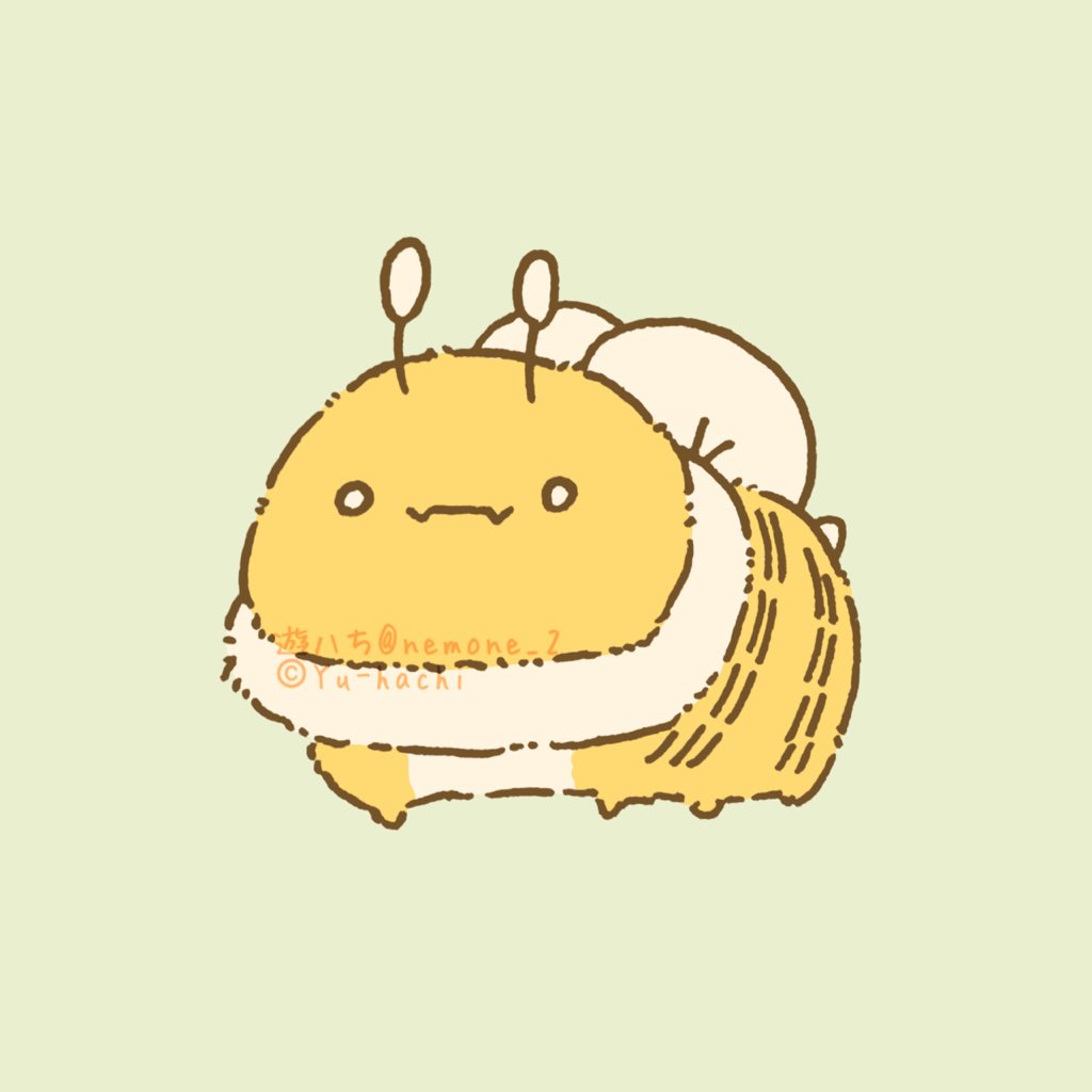 Peco(ぺこ)🎸💮🐹 (@peco_box) / Posts / X