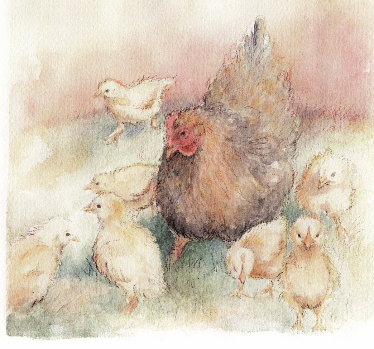 JenDigitalArt's tweet photo. 🐣Mother Hen and Chicks🐣 
~watercolour pencils~ https://t.co/8MrfuDDdtF