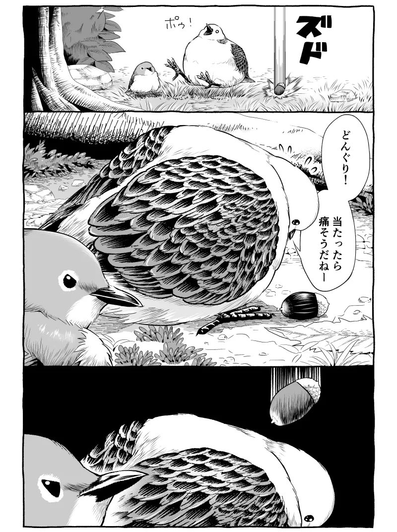 どんぐり【1/2】