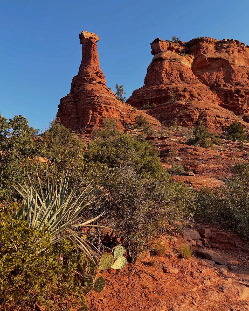 Happy Friday everyone! Goodnight from Arizona. 🌙
